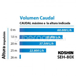 Motobomba Koshin SEH-80X