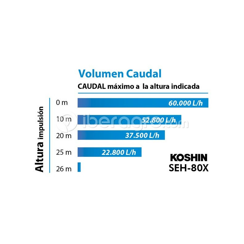 Motobomba Koshin SEH-80X